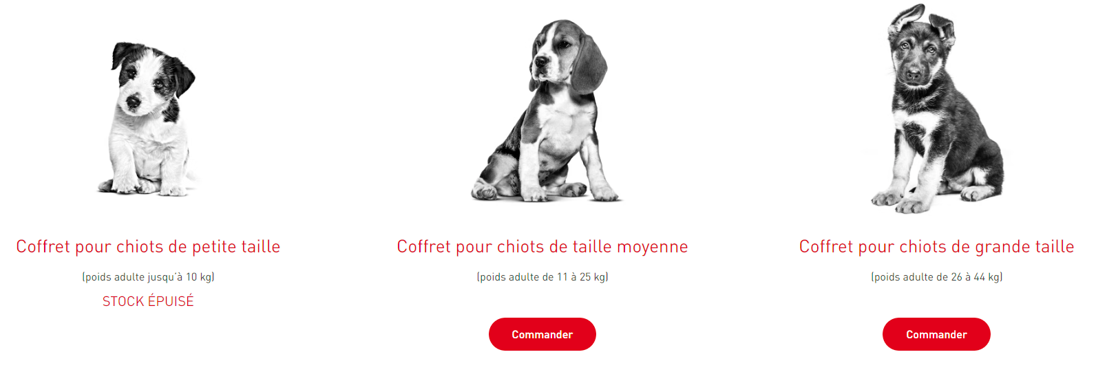 Votre Coffret Decouverte Royal Canin® pour chiot OFFERT1